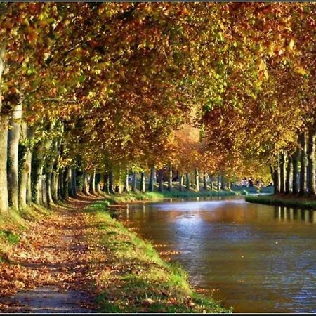 Domaine De A 600m De La Animations Piscines En Supplement Belle Climatisee 3 6 Couchages Wifi Lrpdsk3 * Portiragnes